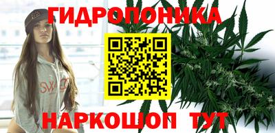 a pvp Шахты
