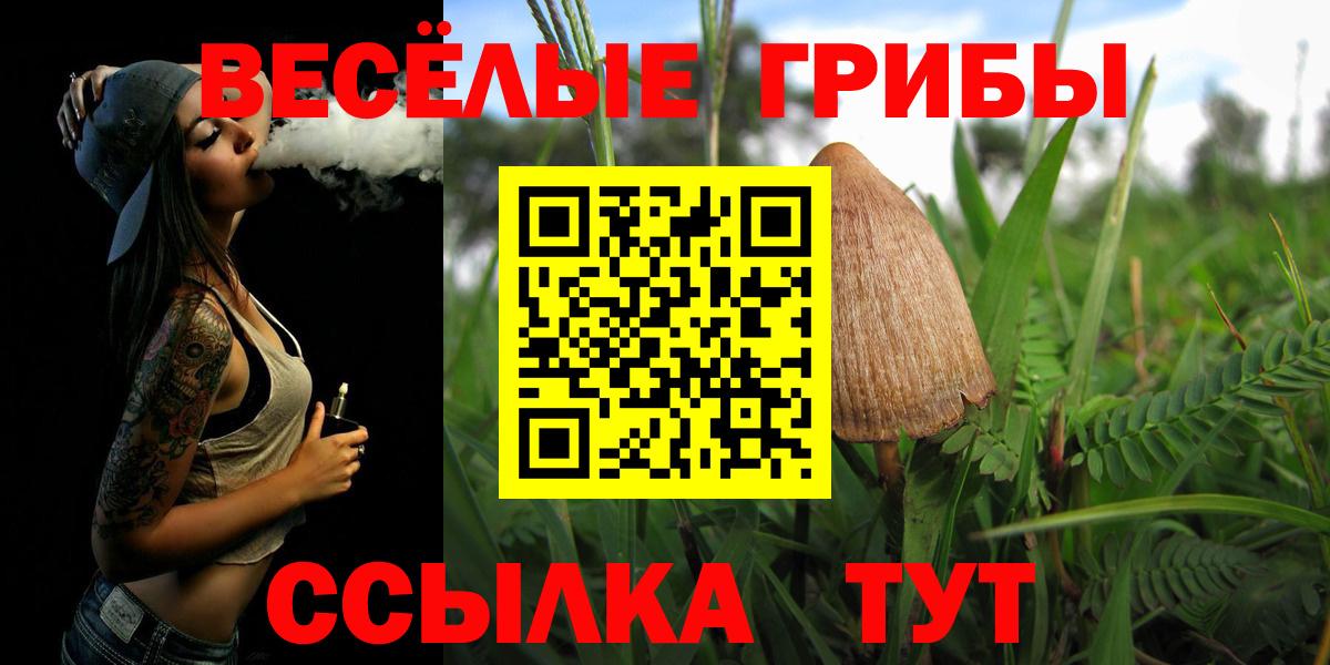 Псилоцибиновые грибы Psilocybine cubensis Апатиты