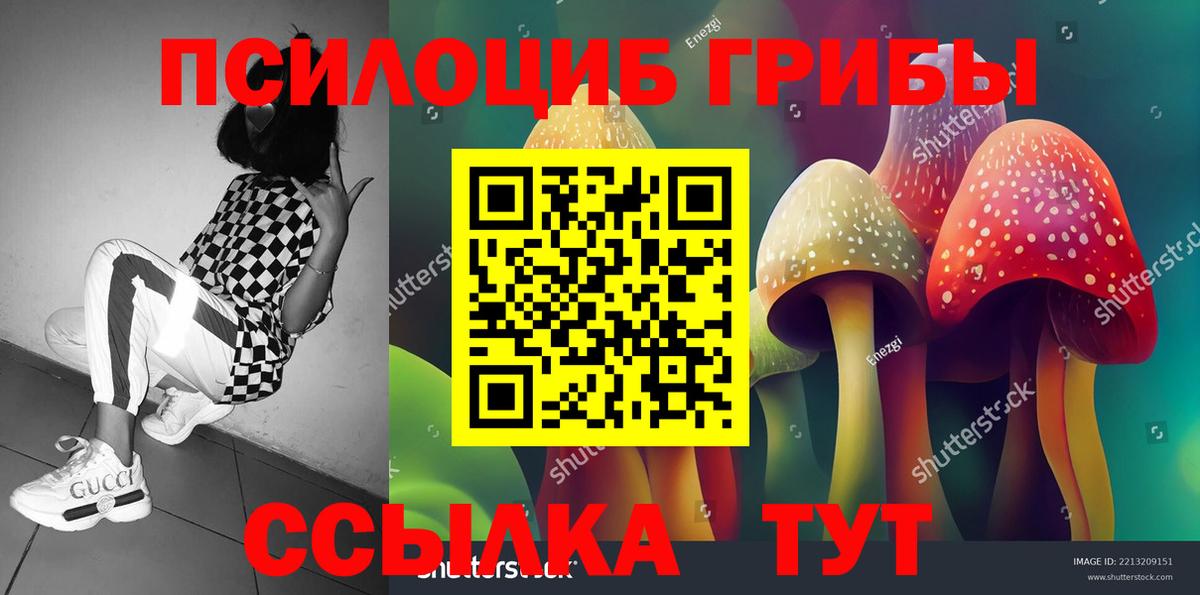 Апатиты  Галлюциногенные грибы мицелий  Вход с VPN 